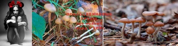 круглые Верея