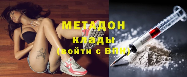 прущие грибы Верхний Тагил
