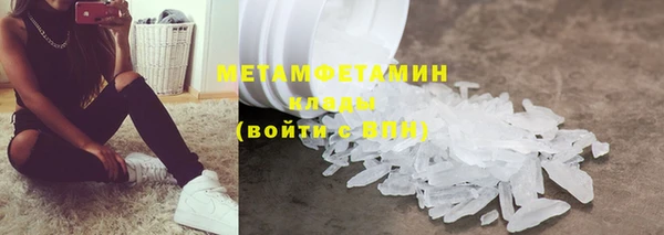 прущие грибы Верхний Тагил