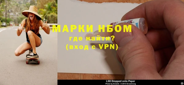 прущие грибы Верхний Тагил