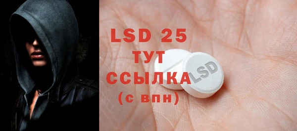 прущие грибы Верхний Тагил