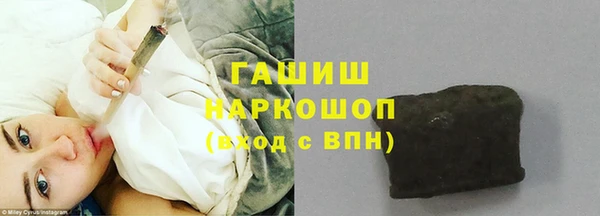прущие грибы Верхний Тагил