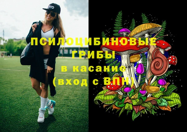 прущие грибы Верхний Тагил