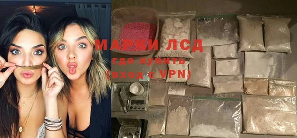 прущие грибы Верхний Тагил