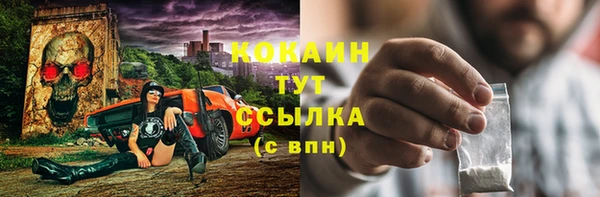 прущие грибы Верхний Тагил