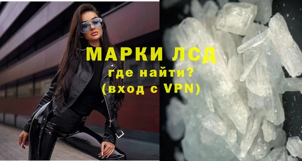 прущие грибы Верхний Тагил
