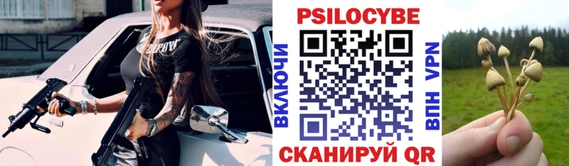 даркнет сайт  Дигора  mega сайт  Галлюциногенные грибы Psilocybe 